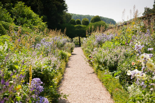 Straight path at Kelmarsh Hall