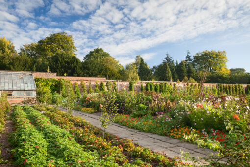 Walled Garden. Harewood House,Yorkshire, UK. Early Autumn, September 2015.