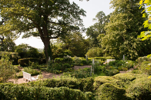 Woodland at Kelmarsh Hall