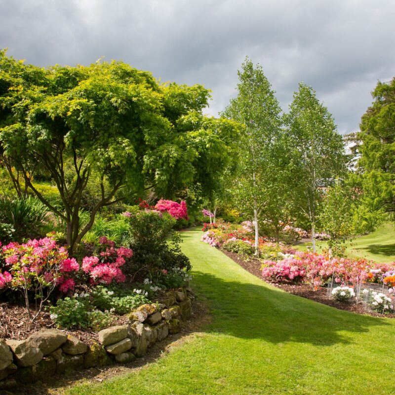 Brynkinalt shrubbery-garden