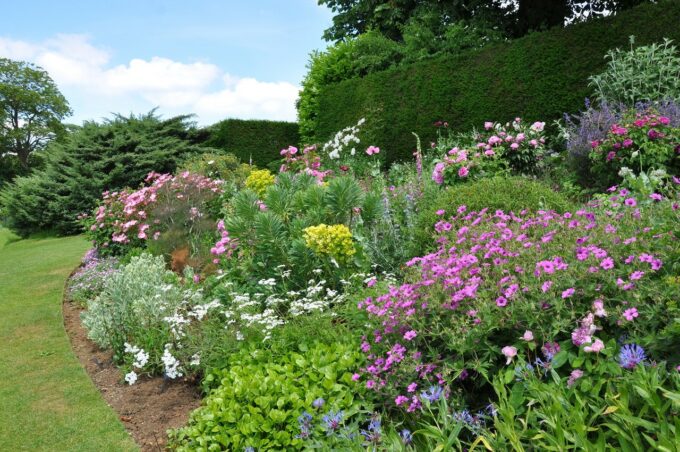 Coton Manor Garden herbaceous border