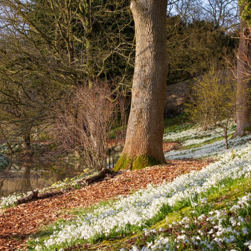 Easton Walled Garden 4