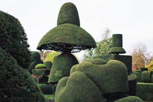 Levens Hall topiary