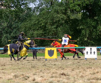 Belvoir Castle Engine Yard Jousting and Polo Event 12