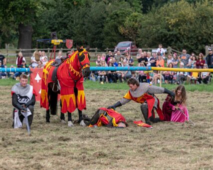 Belvoir Castle Engine Yard Jousting and Polo Event 4