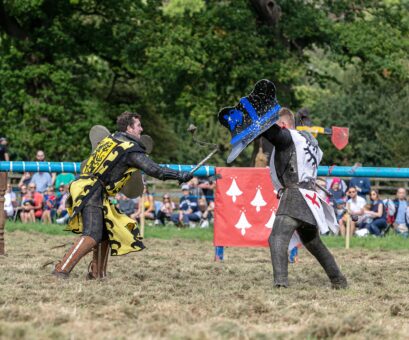 Belvoir Castle Engine Yard Jousting and Polo Event 7