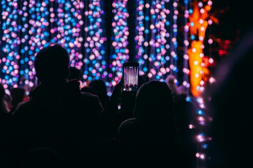 Belvoir Castle Illuminations