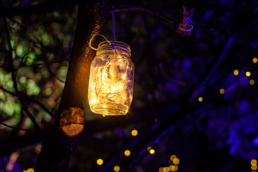 Belvoir Castle Illuminations