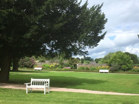 Morland House benches in the grounds