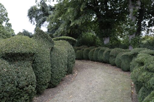 Elton Hall. Historic Houses - Garden of the Year Award.