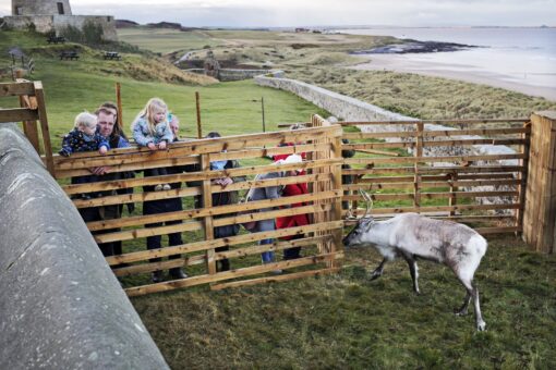 Christmas at Bamburgh Castle. Photograph: Stuart Boulton.