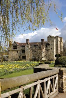 Hever Castle 2022 Daffodils in Kent