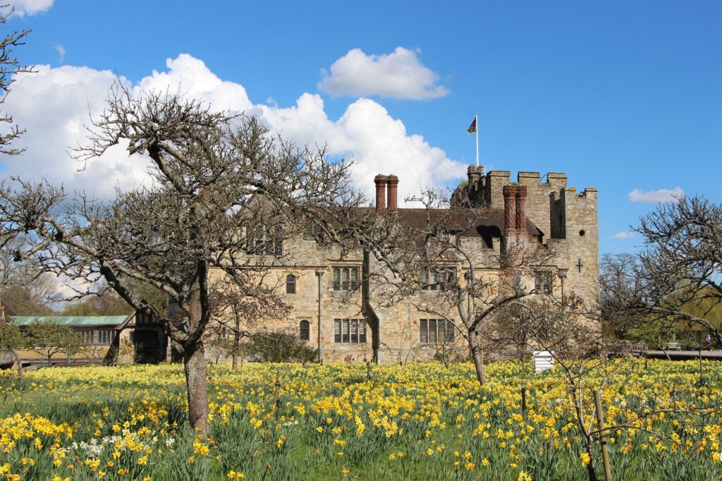 Hever Castle 2022 Daffodils in Kent