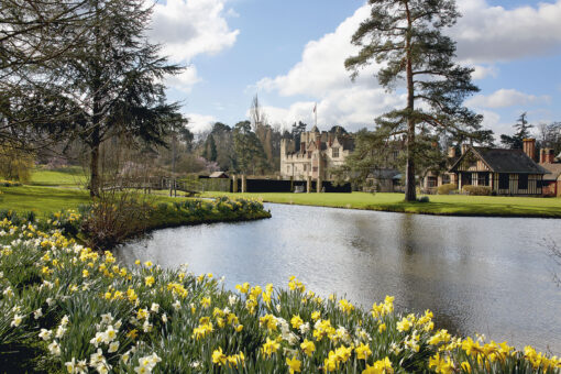 Hever Castle 2022 Daffodils in Kent