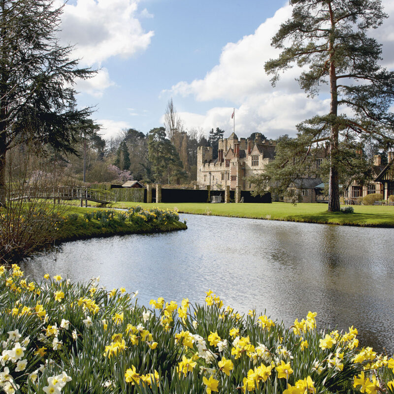 Hever Castle 2022 Daffodils in Kent