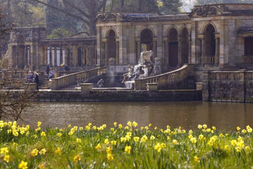 Hever Castle 2022 Daffodils in Kent