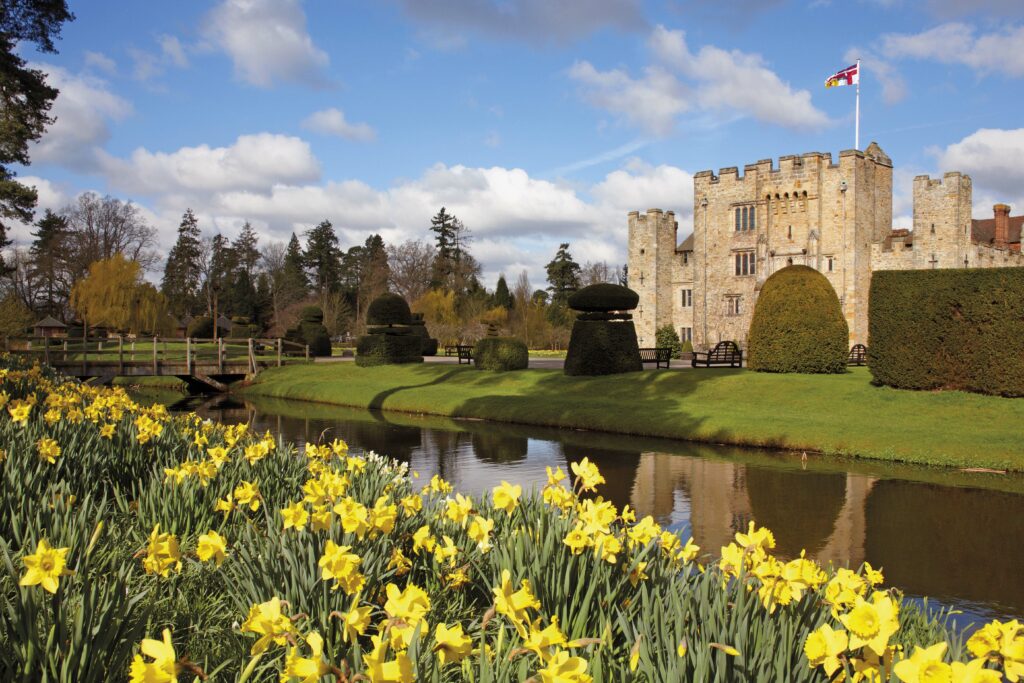 Hever Castle 2022 Daffodils in Kent