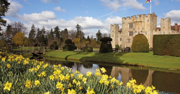 Hever Castle 2022 Daffodils in Kent