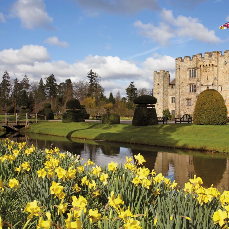 Hever Castle 2022 Daffodils in Kent