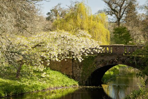 Minterne Gardens, Dorchester, Dorset