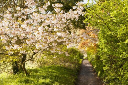 Minterne Gardens, Dorchester, Dorset