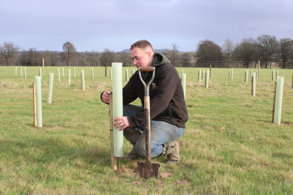 Bowood Jubilee Tree Planting