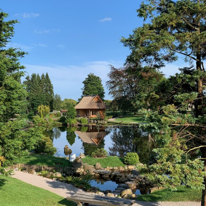 Portrait - view of GP at Cowden Garden