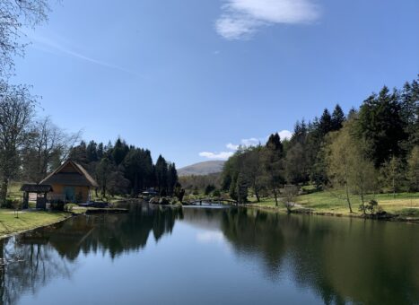 View to the west at Cowden Garden