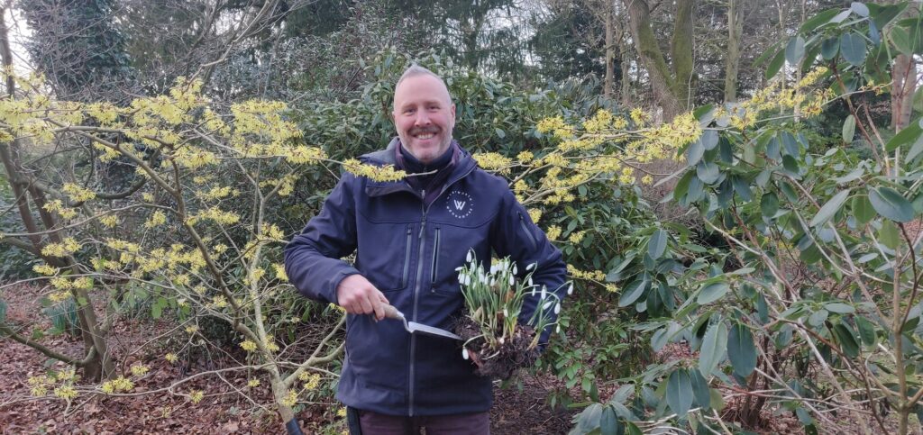 Wentworth Snowdrops Head Gardener Scott Jamieson