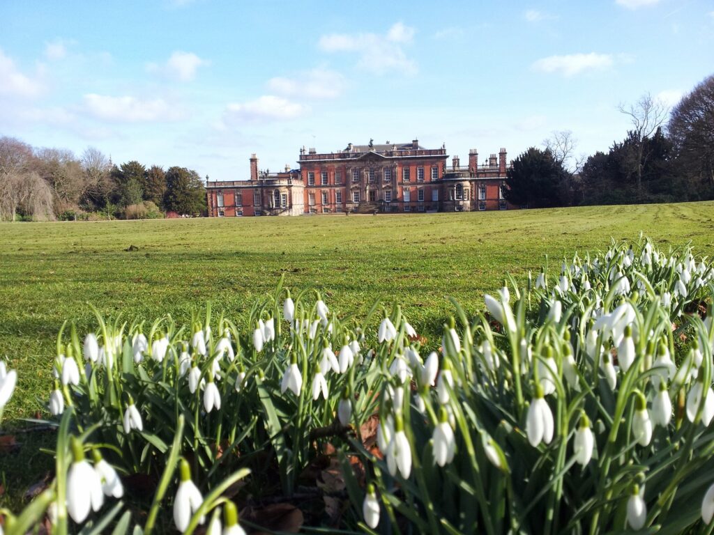 Wentworth snowdrops West Front. - horizontal shot