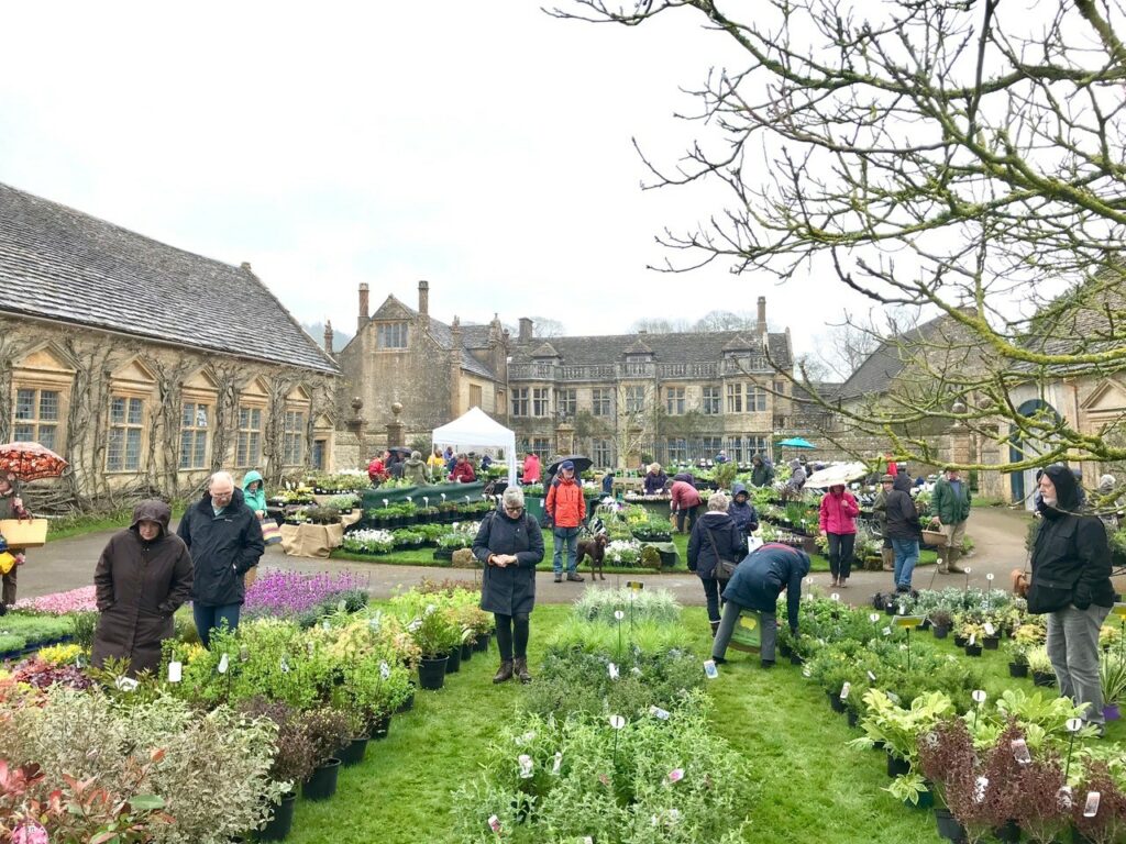 Mapperton Plant Fair