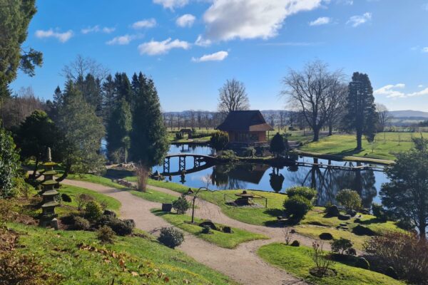 View to the south - Cowden Garden