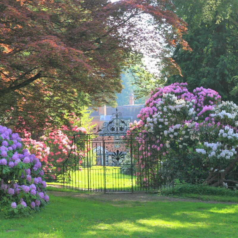 Hergest Croft Gardens Wembley Gate