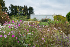 boughton house garden plants