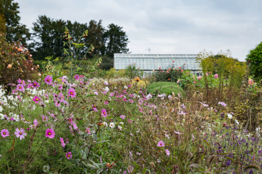 boughton house garden plants