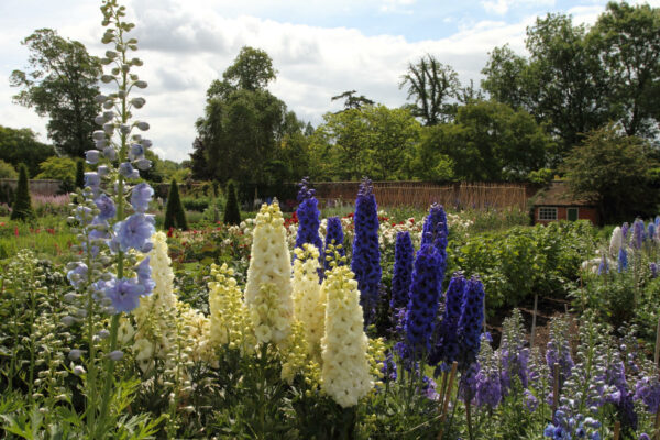 Godinton House & Gardens