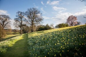 Cholmondeley Castle Gardens