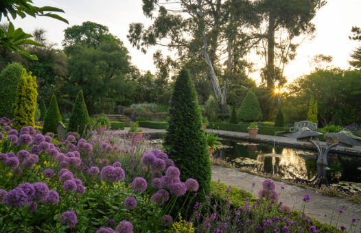 Borde Hill Garden