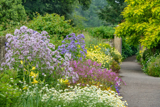 Borde Hill Garden