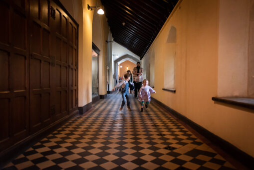 Ushaw Historic House, Chapels & Gardens