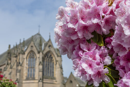 Ushaw Historic House, Chapels & Gardens