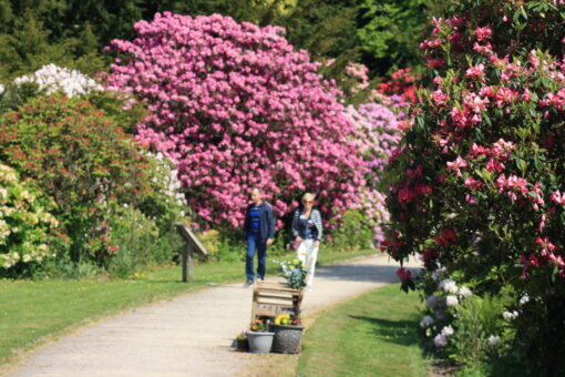 Ushaw Historic House, Chapels & Gardens