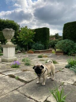 Bledlow Manor House Gardens