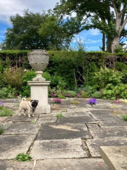 Bledlow Manor House Gardens