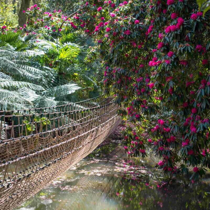 Abbotsbury Subtropical Gardens