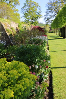 Glenarm Castle