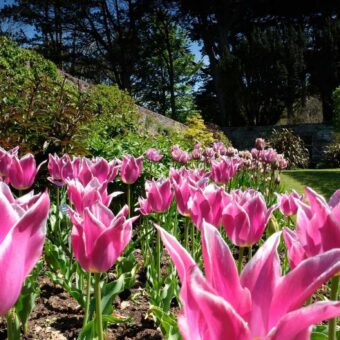 Glenarm Castle