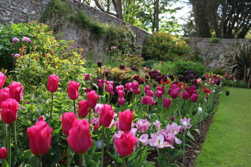 Glenarm Castle