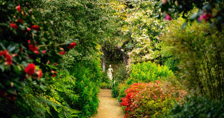 Abbotsbury Subtropical Gardens