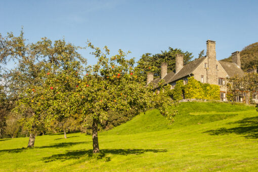 Bossington Hall